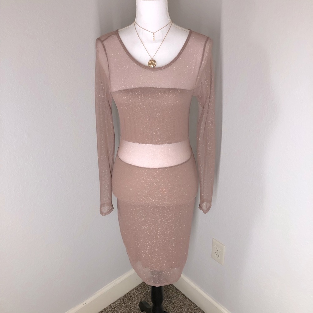 Windsor sheer champagne long sleeve bodycon midi dress size medium